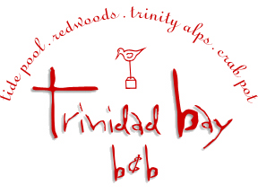 to trinidad bay bed and breakfast home ... Trinidad Bay Bed & Breakfast Logo